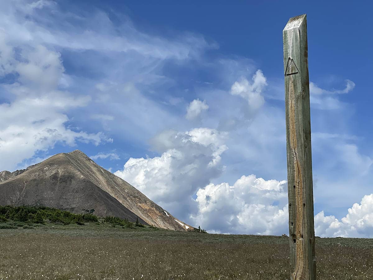 Trail Blaze Marker along the Colorado Trail