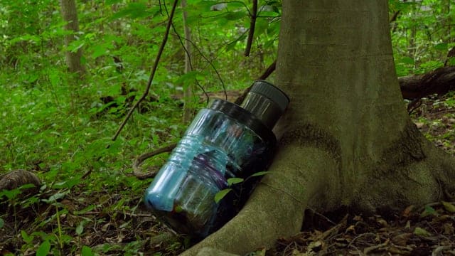 BV500 resting against a tree.