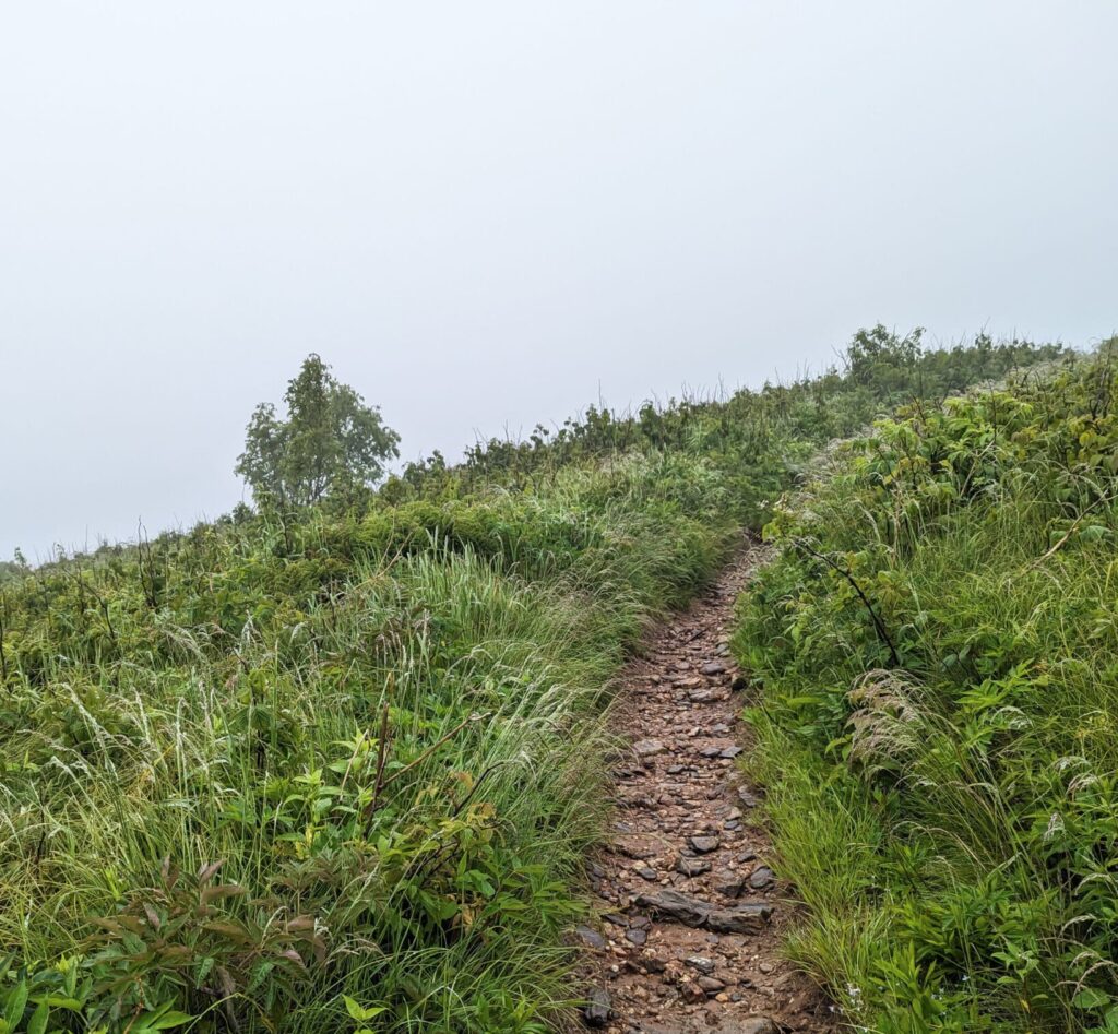 View looking ahead on the trail in Western North Carolina