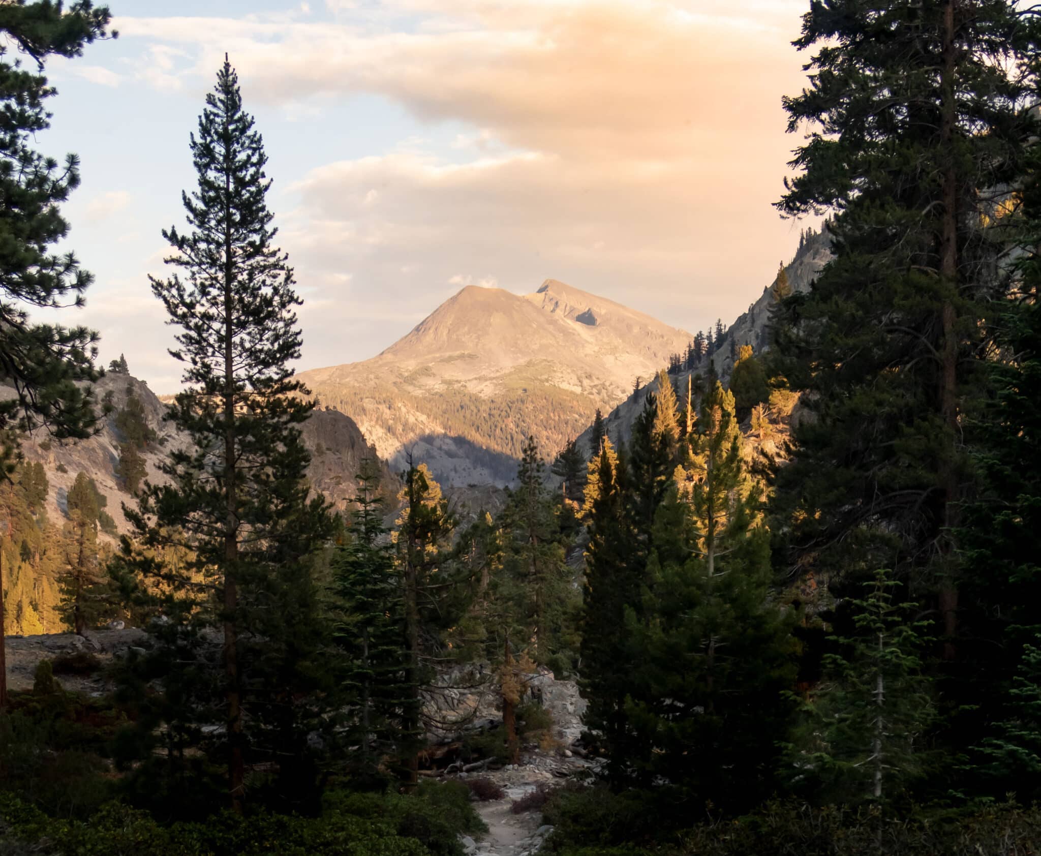 A scenic view of forest and a mountain.