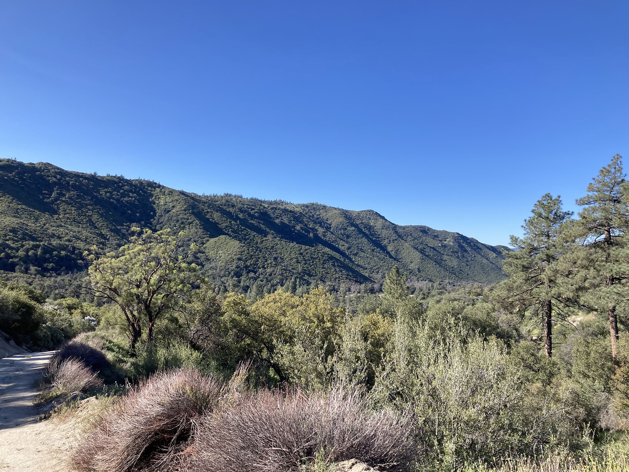 The view out over Hot Springs mountain in San Diego.