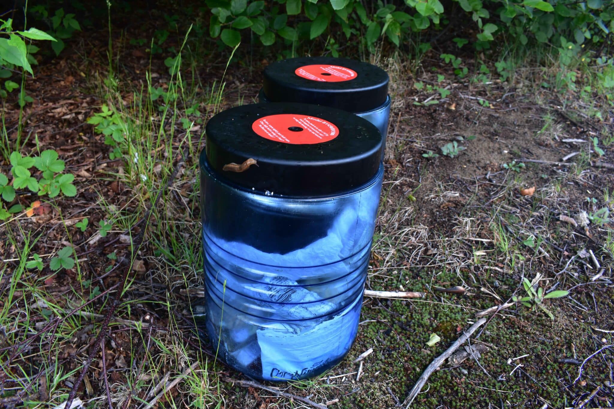 Two BearVault BV500s sitting on the forest floor.